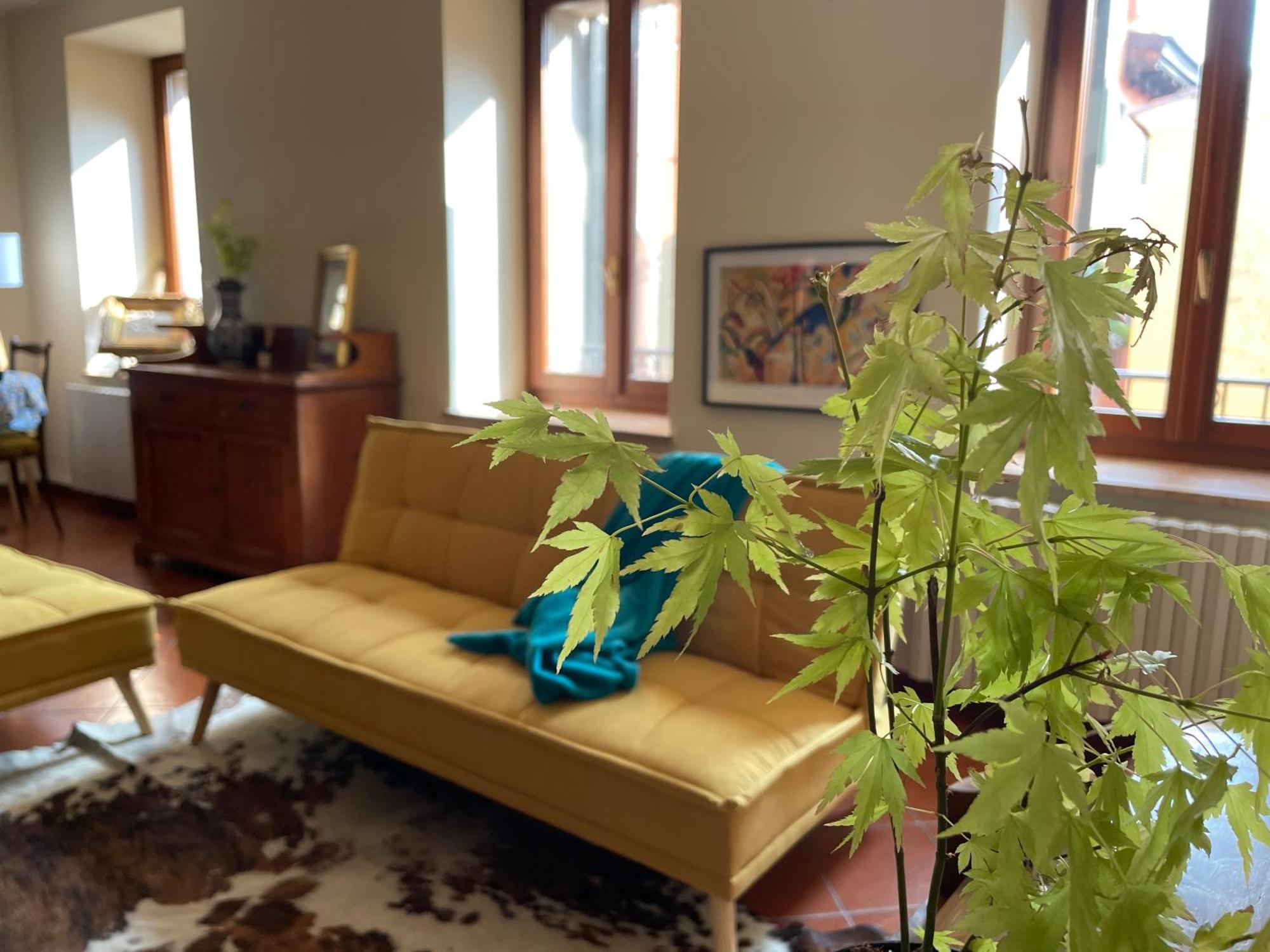 Montecchi House Διαμέρισμα Βερόνα Εξωτερικό φωτογραφία